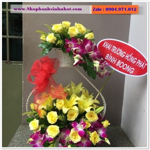 Hoa Tươi Tặng Khai Trương - OK53